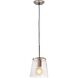Netta 1 Light 8 inch Satin Nickel with Clear Mini Pendant Ceiling Light