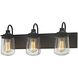 Hamel 3 Light 24 inch Oil Rubbed Bronze with Clear Vanity Light Wall Light