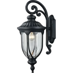 Derry Hill 1 Light 23 inch Matte Black with Clear Outdoor Wall Sconce