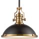 Chadwick 1 Light 17 inch Matte Black with Satin Brass Pendant Ceiling Light