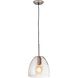 Netta 1 Light 10 inch Satin Nickel with Clear Mini Pendant Ceiling Light