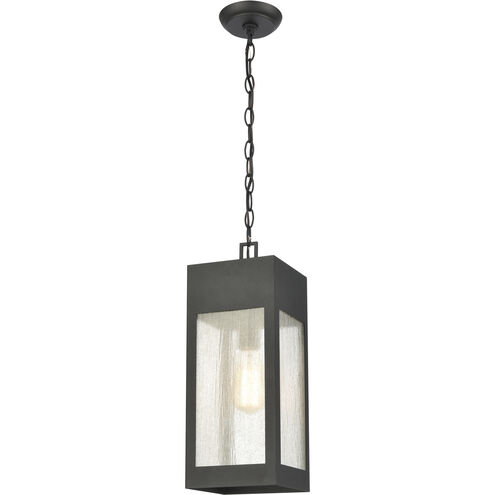Angus 1 Light 7 inch Charcoal Outdoor Pendant