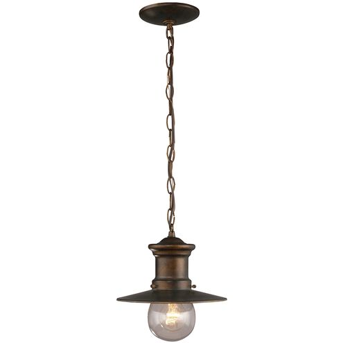 Maritime 11 inch 60.00 watt Hazelnut Bronze Outdoor Pendant