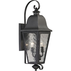 Forged Brookridge 2 Light 24 inch Charcoal Outdoor Sconce
