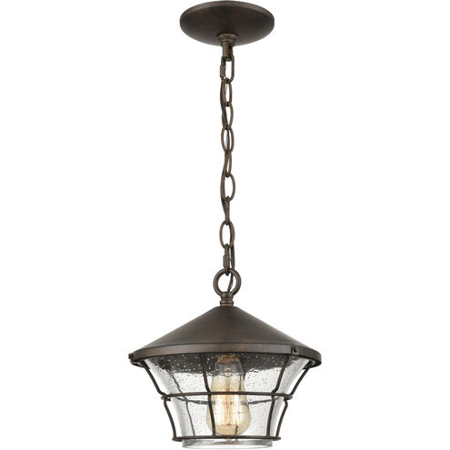 Gavin 10 inch 60.00 watt Hazelnut Bronze Outdoor Pendant