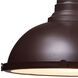 Chadwick Linear Chandelier Ceiling Light in Incandescent